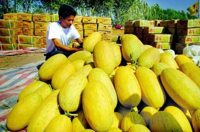 援疆風采 步步高援疆行，架起湘吐共富橋