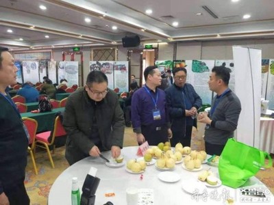 陽信鴨梨榮獲“全國綠色農業十佳地標品牌”稱號，綠色農業品牌價值再提升